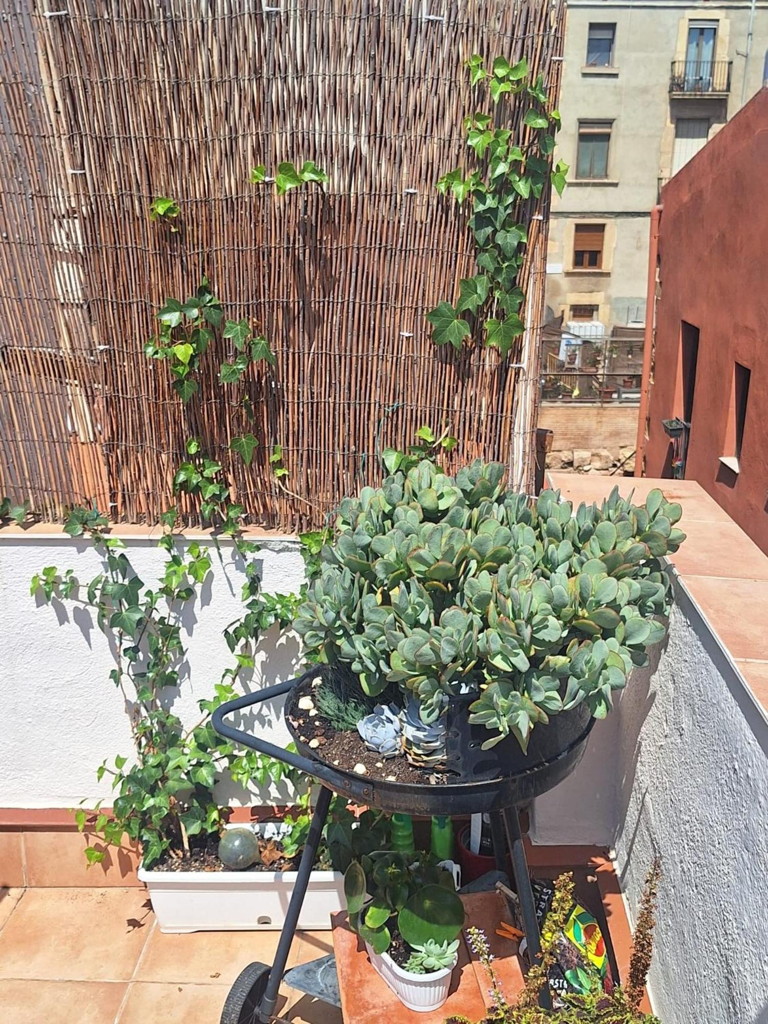 El Terrat De La Tecla - Duplex Casc Antic Apartment Tarragona Luaran gambar